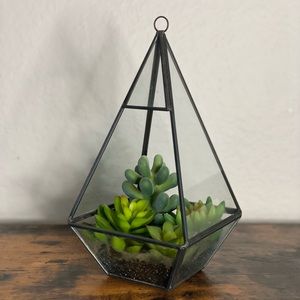 Decorative faux plant in plastic/glass geometric case. Hang or table top use.